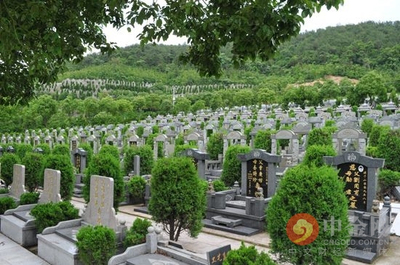 暴利坟地产:墓地是刚需 卖墓地毛利率超房企2倍多